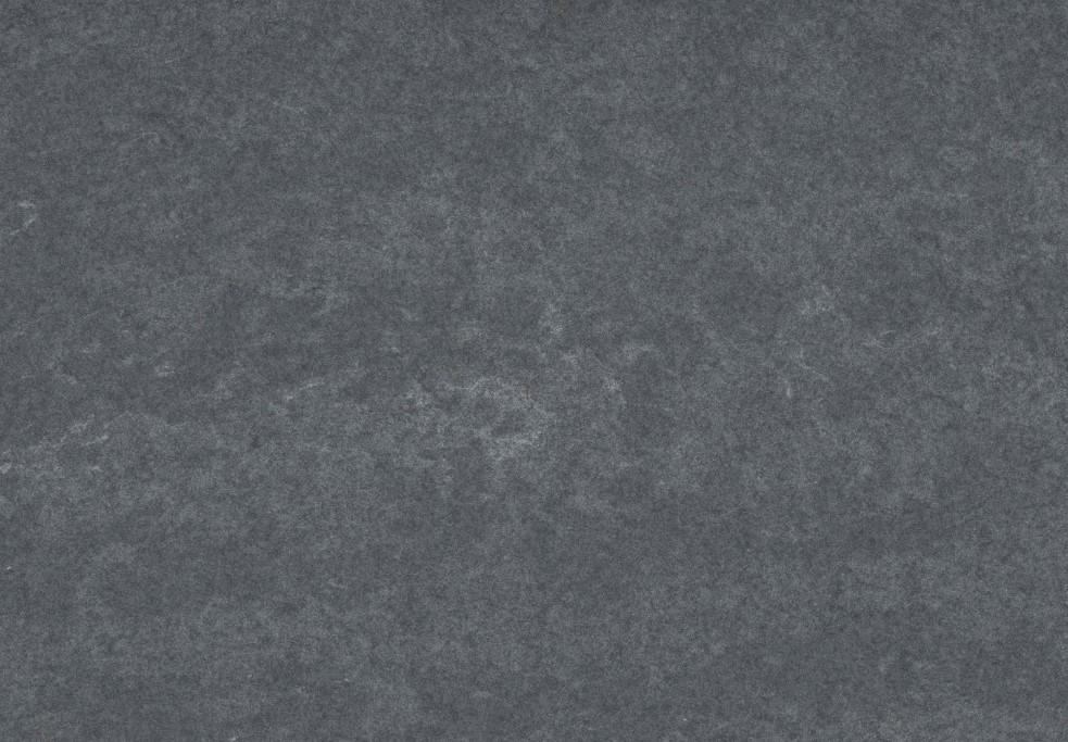 sensa-image